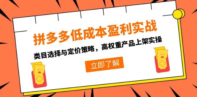 拼多多低成本盈利实战,类目选择与定价策略,高权重产品上架实操-初遇