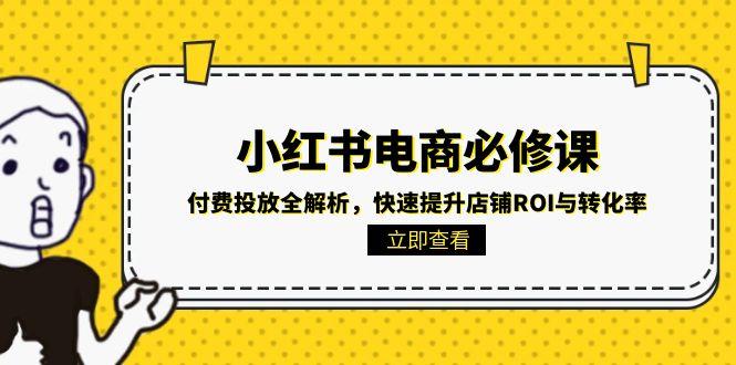 小红书电商必修课:付费投放全解析,快速提升店铺ROI与转化率-初遇