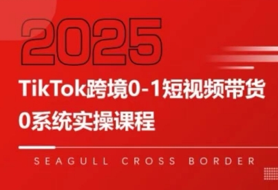 大亿老师·TikTok跨境0-1短视频带货-初遇