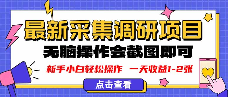 新版采集调研项目,截图上传即可,无脑操作,日收益1-2张-初遇