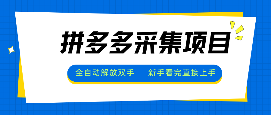 拼多多采集项目，全自动解放双手，单号日入30+-初遇