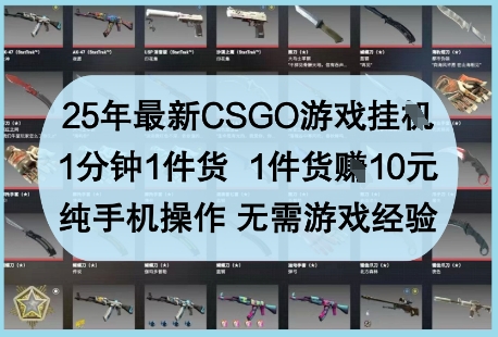 25年最新CSGO游戏挂G，1分钟1件货，1件货挣10元，纯手机操作，无需游戏经验【揭秘】-初遇