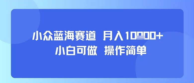 小众蓝海赛道,小白可做,操作简单,每天30分钟,月入1W+-初遇