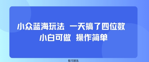 小众蓝海玩法 一天搞了四位数 小白可做 操作简单-初遇