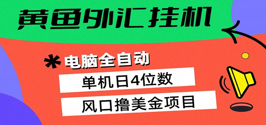 黄鱼外汇挂机：全自动赚美金、自动交易、风口项目-初遇