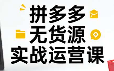 子枫老师·拼多多无货源实战运营课(更新12月)-初遇