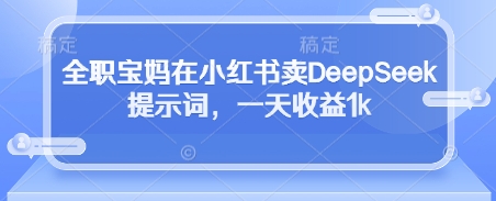全职宝妈在小红书卖DeepSeek提示词，一天收益1k-初遇