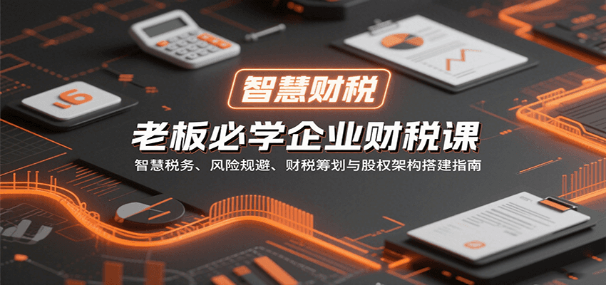 老板必学企业财税课:智慧税务、风险规避、财税筹划与股权架构搭建指南-初遇