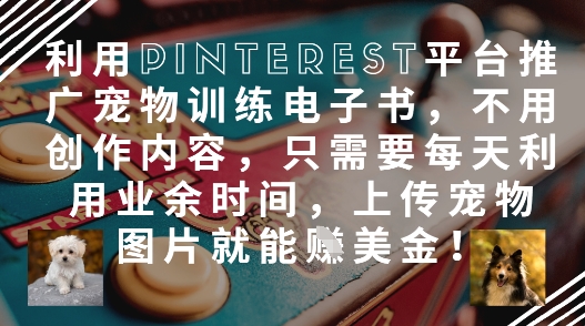 利用Pinterest平台推广宠物训练电子书，不用创作内容，只需要每天利用业余时间，上传宠物图片就能挣美金!-初遇