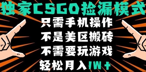 CSGO自动捡漏项目,最新独家玩法,不是美区搬砖,不需要了解和玩游戏,新手小白轻松月入1W+【揭秘】-初遇
