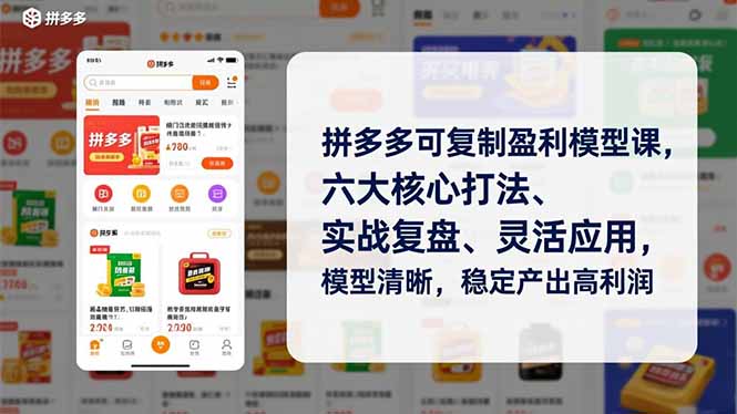 拼多多可复制盈利模型课，六大核心打法、实战复盘、灵活应用，模型清晰，稳定产出高利润-初遇