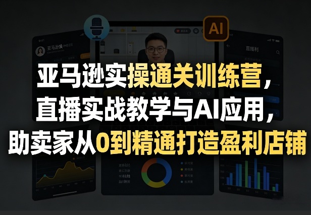 亚马逊实操通关训练营，直播实战教学与AI应用，助卖家从0到精通打造盈利店铺(更新4月17日)-初遇