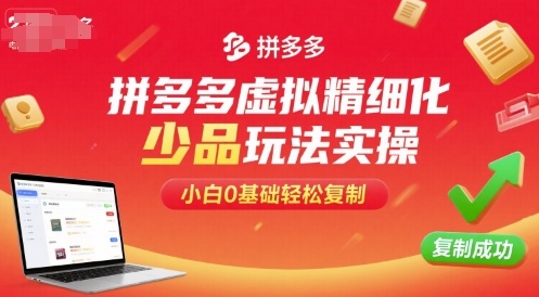 拼多多虚拟精细化少品玩法实操,小白0基础轻松复制-初遇