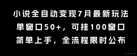 小说全自动变现7月玩法，单窗口50+，可挂100窗口，简单上手，全流程限时公布【揭秘】-初遇