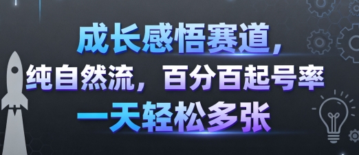 成长感悟赛道，纯自然流，百分百起号率 一天轻松多张-初遇