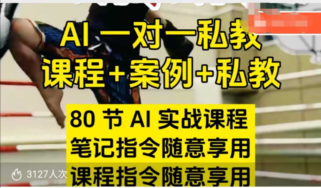 AI指令实战课，课程+案例，80节AI实战课程，笔记指令随意享用，课程指令随意享用(更新7月)-初遇