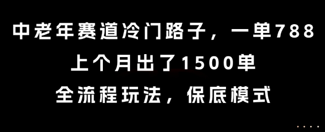 中老年赛道冷门路子，一单788，上个月出了1500单，全流程玩法，保底模式【揭秘】-初遇