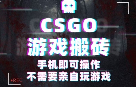 CSGO游戏挂G捡漏,单日扫货5张+,年底小高峰上车可吃肉,手机即可操作,兼职副业创业网创【揭秘】-初遇