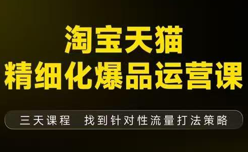 猫课子幽·淘宝天猫精细化爆品运营【音频+字幕+文档】(9月12-14杭州线下课)-初遇
