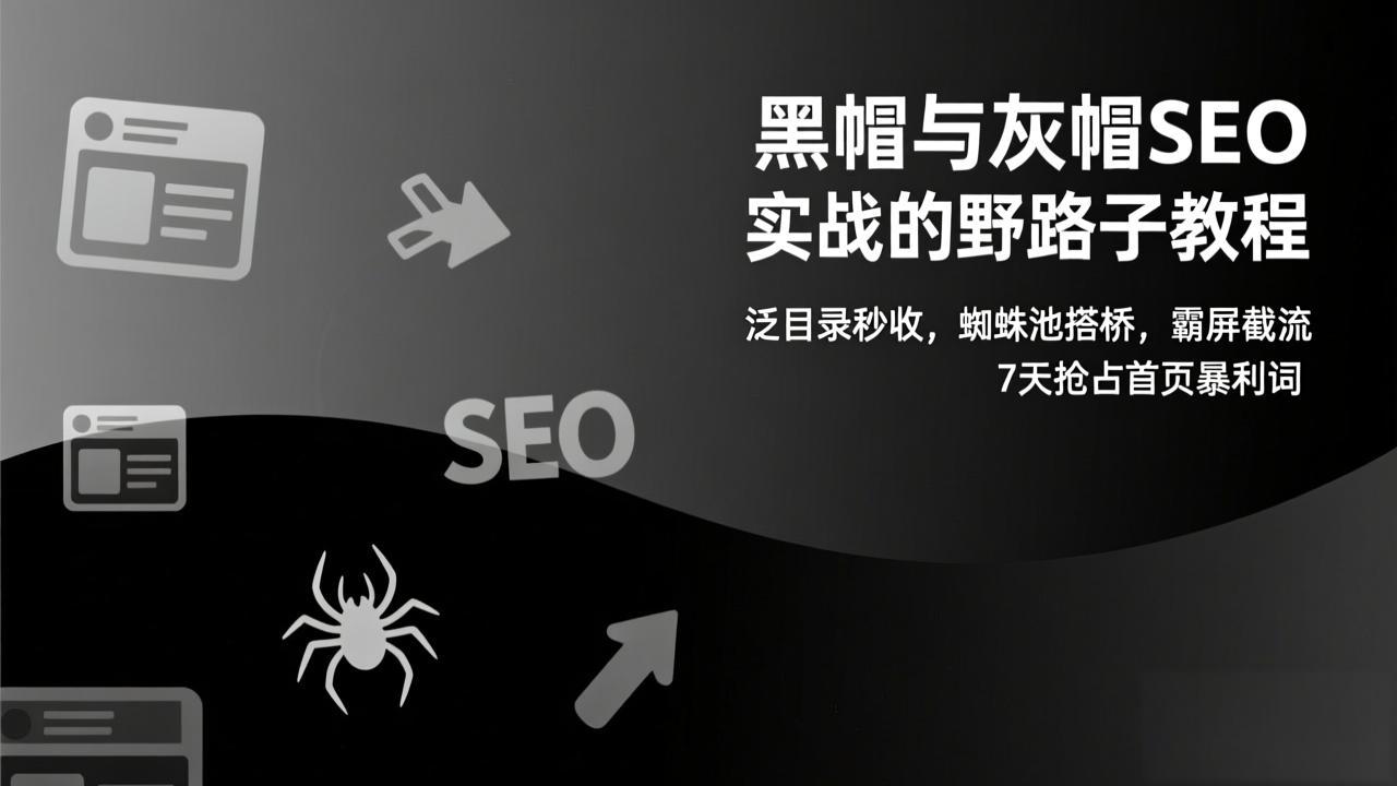 黑帽与灰帽SEO实战的野路子教程：泛目录秒收，蜘蛛池搭桥，霸屏截流，7天抢占首页暴利词-初遇
