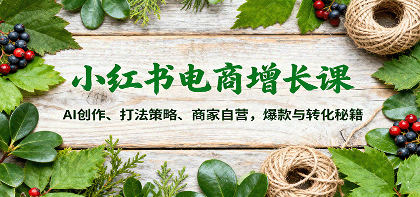 小红书电商增长课：AI创作、打法策略、商家自营，爆款与转化秘籍-初遇