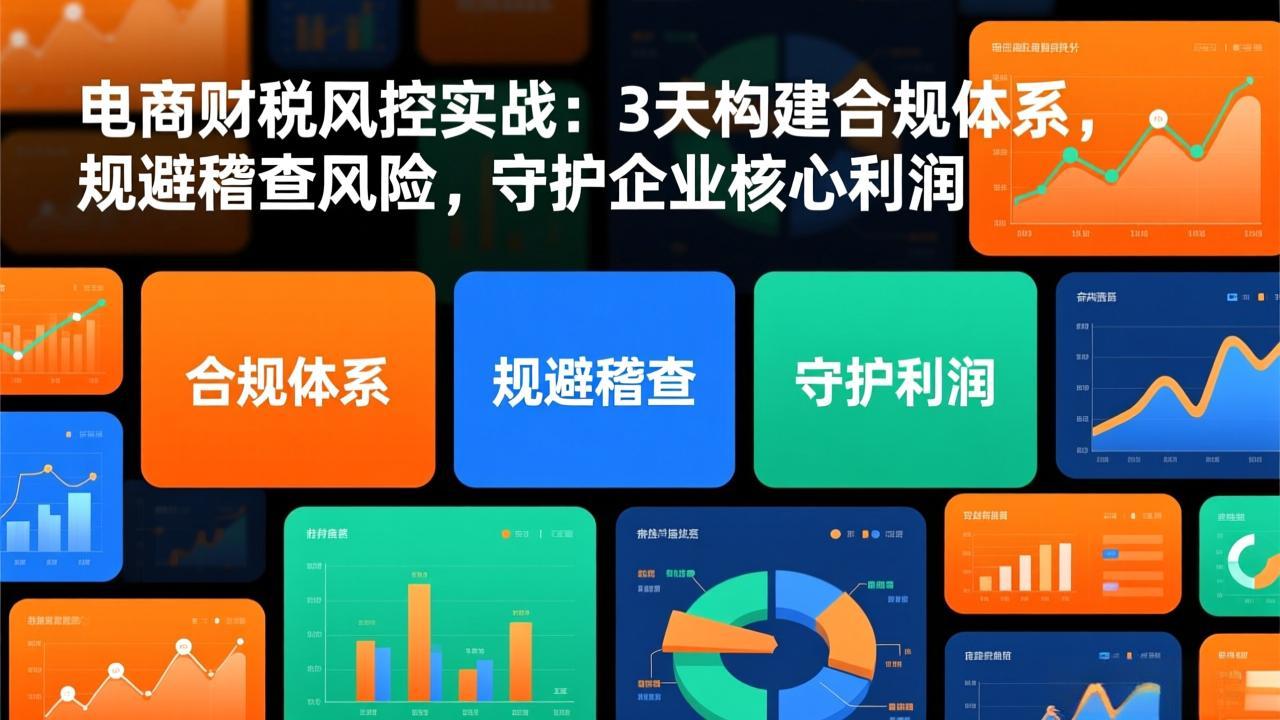 电商财税风控实战：3天构建合规体系，规避稽查风险，守护企业核心利润-初遇