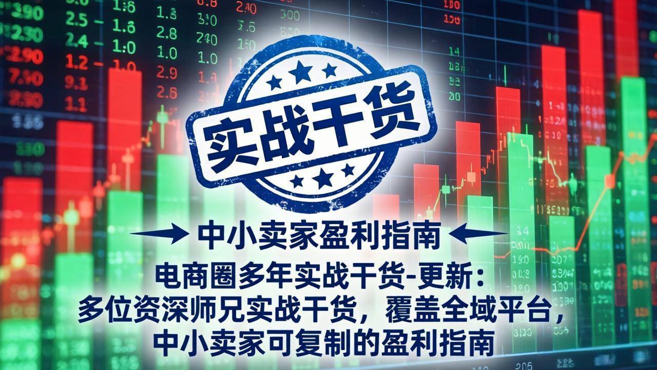 电商圈多年实战干货-更新4月27：多位资深师兄实战干货/覆盖全域平台，中小卖家可复制的盈利指南-初遇