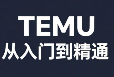 跨境麦冬·TEMU从入门到精通-初遇