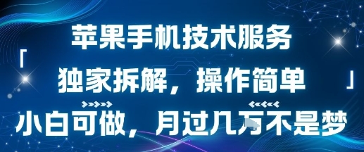 苹果手机技术服务,独家拆解,操作简单,小白可做,月过1W不是梦-初遇