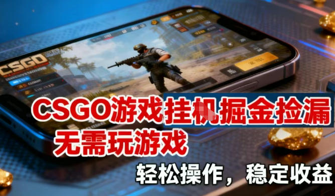 CSGO游戏挂G掘金捡漏，不需要玩游戏，操作简单，收益稳定【揭秘】-初遇