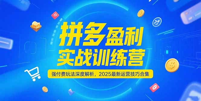 拼多多盈利实战训练营，强付费玩法深度解析，2025运营技巧合集-更新6月-初遇