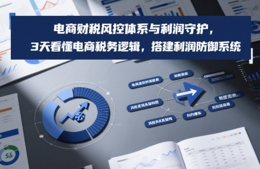 电商财税风控体系与利润守护，3天看懂电商税务逻辑，搭建利润防御系统-初遇