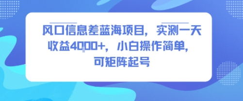 风口信息差蓝海项目，实测一天收益4k+，小白操作简单，可矩阵起号-初遇
