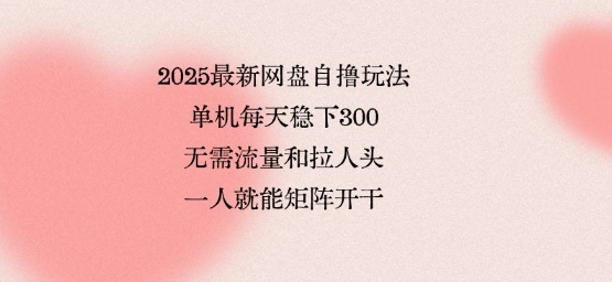 2025最新网盘自撸玩法,单机每天稳下3张,无需流量和拉人头,一个人就可轻松矩阵,全网独一份【揭秘】-初遇