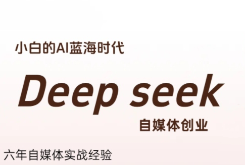 冰冰老师·普通人如何利用Deepseek创业-初遇