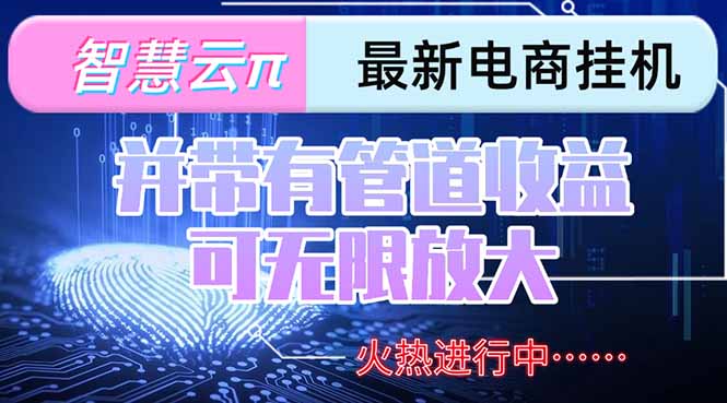 智慧云π电脑挂机单机每天收益300—500+ 并带有团队管道收益 可无限放大-初遇