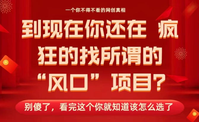 马上26年了,你还在找所谓的风口项目?别傻了,看完这个你全都懂了!【揭秘】-初遇