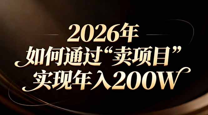 站在2026年的十字路口：一个普通人如何通过卖项目实现年入200万-初遇